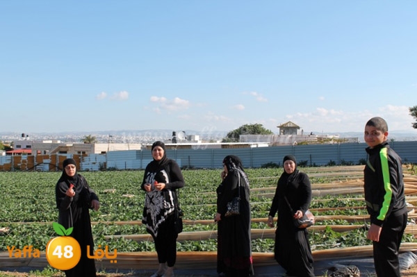 re7la tolkarem (54).JPG